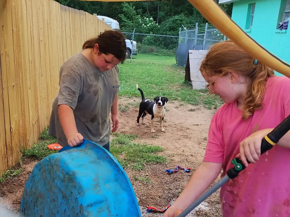 Two students cleaning a dog’s water tub at an animal shelter while a happy dog watches